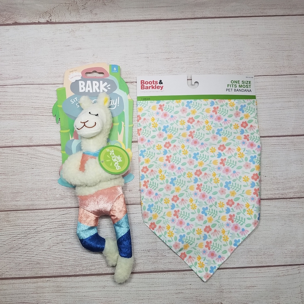 Dog Bandana and Toy